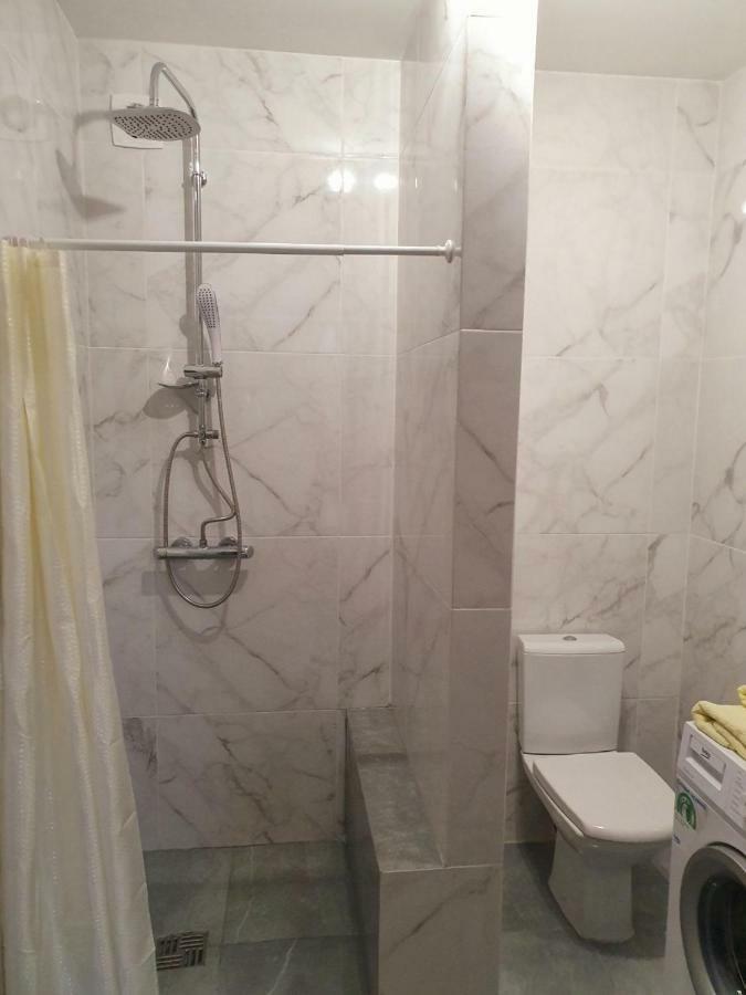 Vip Apartment In The Centre Ужгород Екстер'єр фото